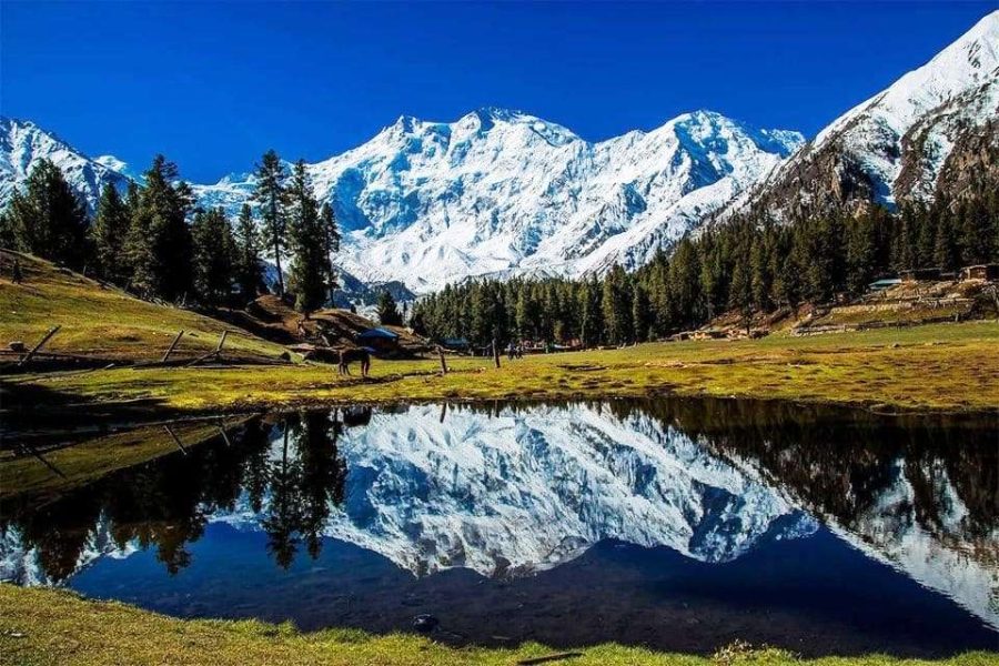 5 Days, 4 Nights Trip to Fairy meadows