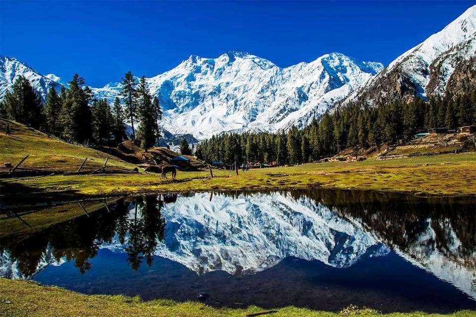 Fairy Meadows